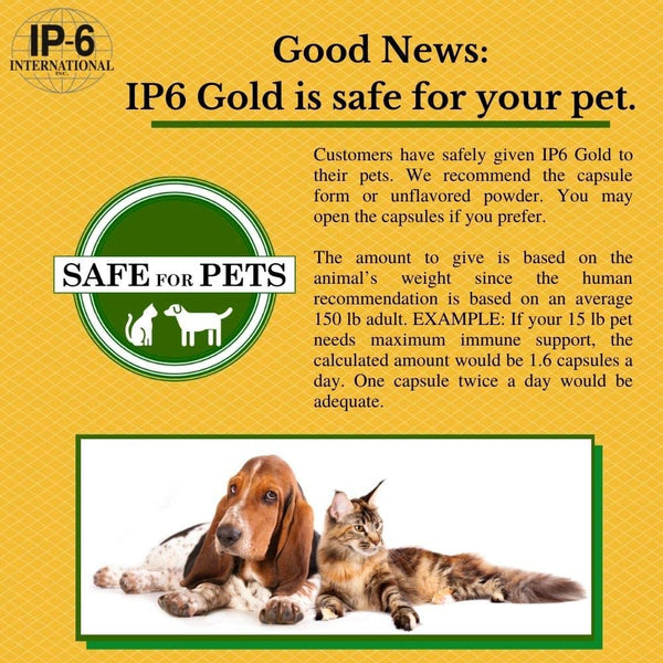 IP6 Gold Powder Unflavored (308gm) by IP6 Gold
