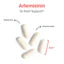 Artemisinin (90 caps) by Allergy Research Group