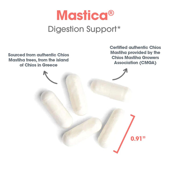 Mastica (120 veg caps) by Allergy Research Group